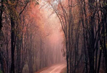 北京国安队员出色表现，力挫对手取胜